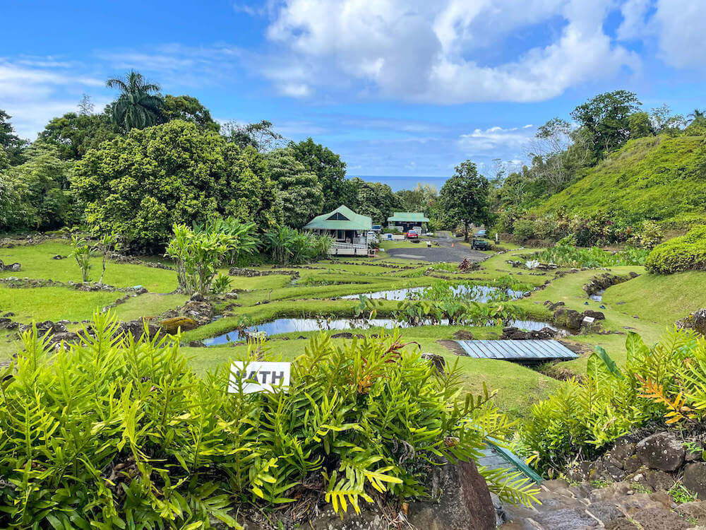 Should you explore the Limahuli Garden in Hanalei Kauai? Read this review by top Hawaii blog Hawaii Travel with Kids. Image of the view of the visitors center and ocean.