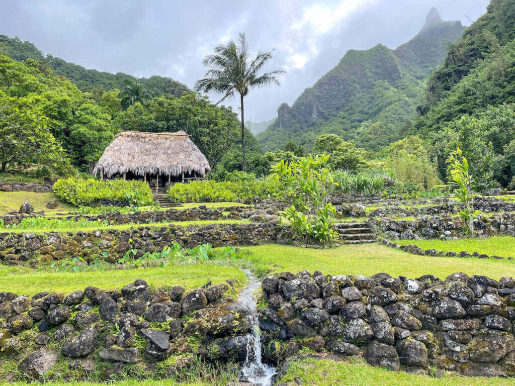 Image of a lush botanical garden on Kauai with a Hawaiian hut and mountains in the background.
