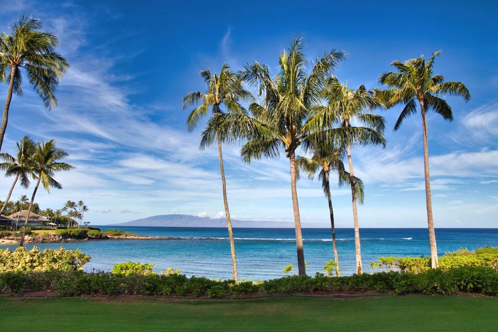 Image of some grass and palm trees in front of Napili Bay on Maui.
