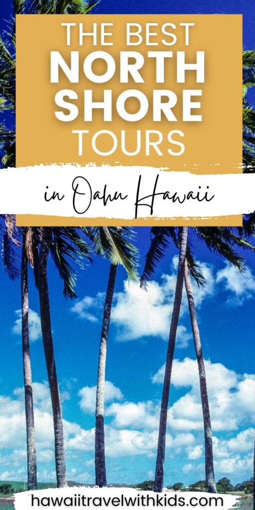 Private North Shore of Oahu Tour