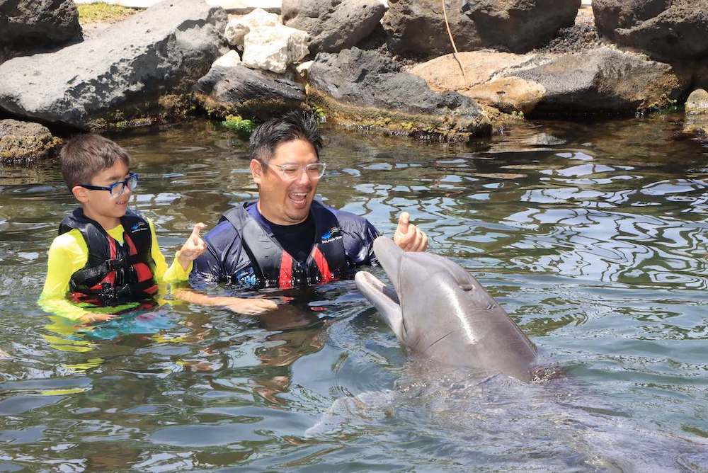 I think the photo package is worth it when swimming with dolphins on Oahu through Dolphin Quest. Image of a boy and dad doing hand signals with a dolphin in Hawaii.