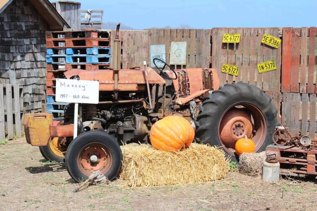 Find out the best pumpkin patches on Oahu recommended by top Hawaii blog Hawaii Travel with Kids. Image of a tractor at Waimanalo pumpkin patch on Oahu