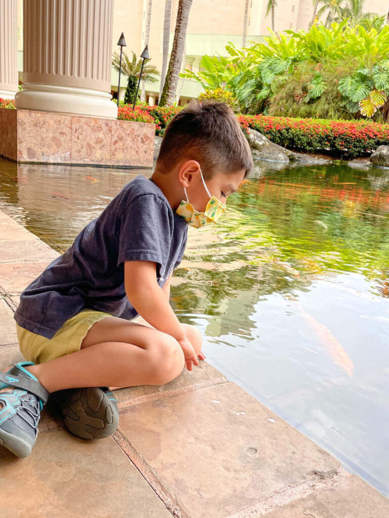 Where to stay on Kauai with kids: Royal Sonesta Kauai review. Image of a boy looking at koi fish