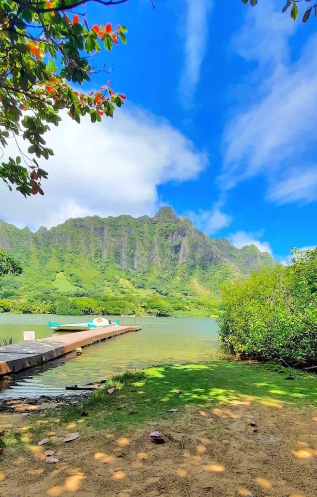 Image of a dock in the water with green mountains in the background