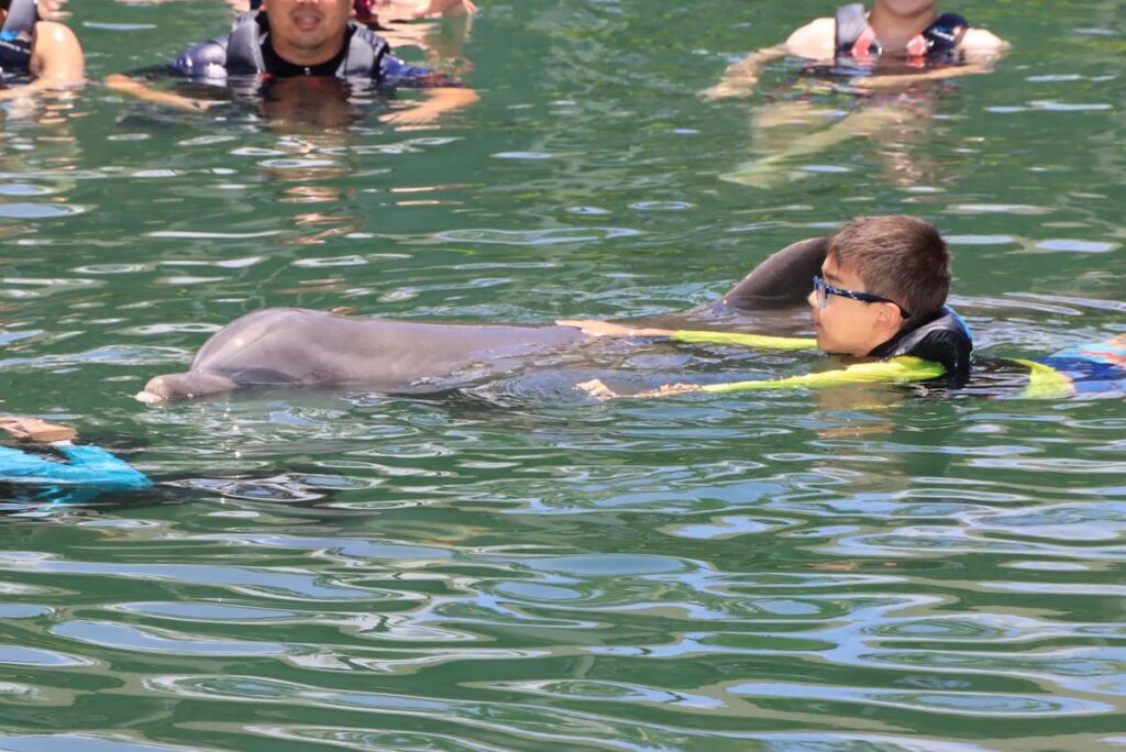 Image of a boy swimming with a dolphin on Oahu.