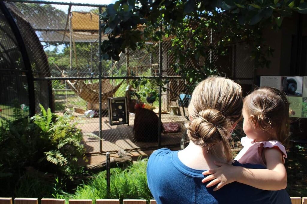 Check out this full guide to visiting the Honolulu Zoo with kids. Image of a mom and girl looking at the primate exhibit at the Honolulu Zoo in Hawaii.