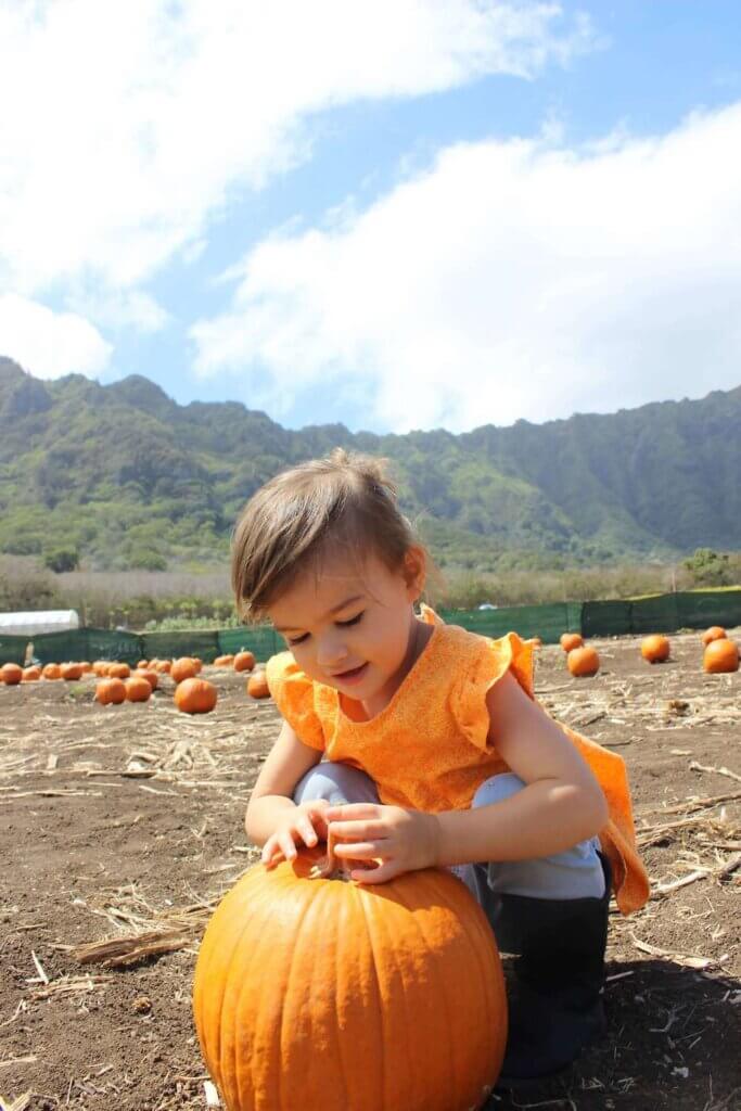 Find out the best pumpkin patches on Oahu recommended by top Hawaii blog Hawaii Travel with Kids. Image of girl with a pumpkin at an Oahu pumpkin patch.