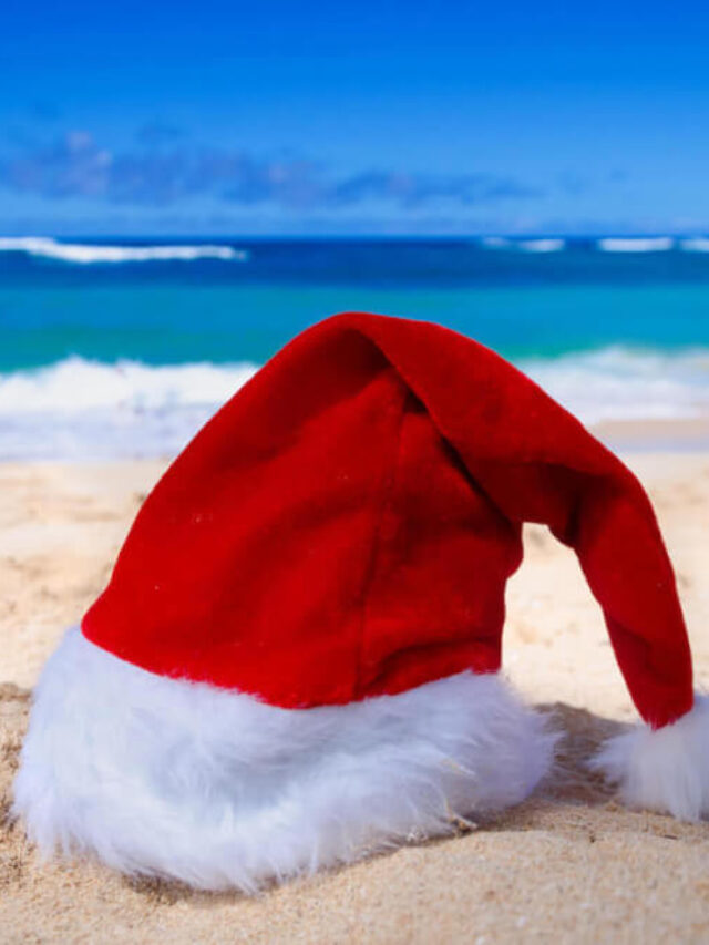 Hawaiian christmas hat online