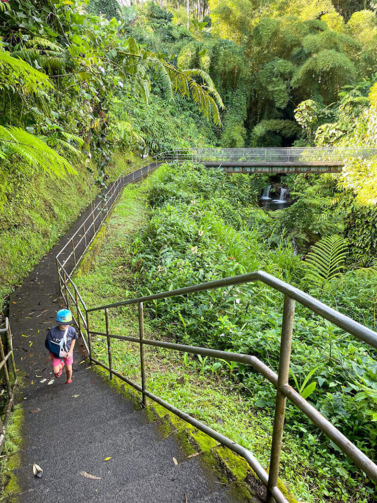 Image of a boy hiking up stairs at Akaka Falls on the Big Island