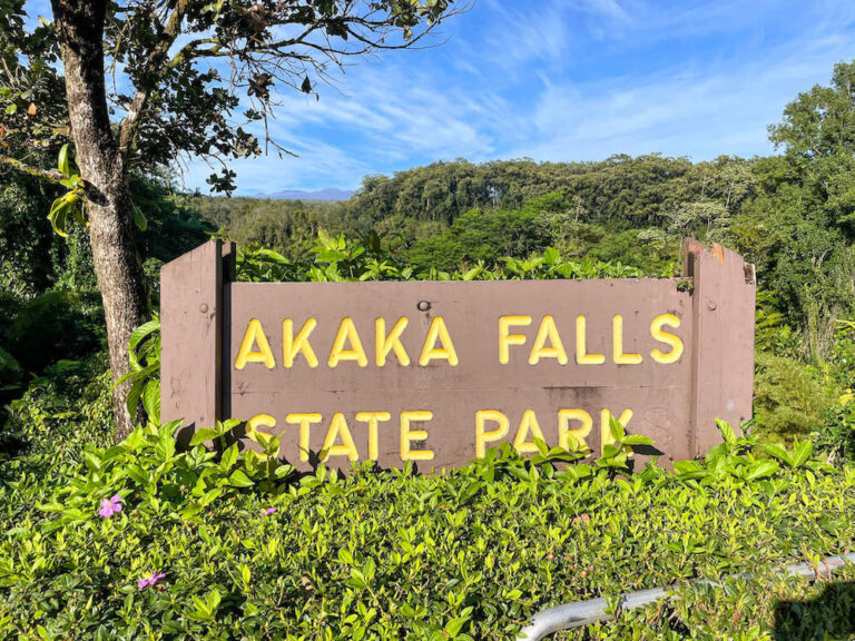 This Majestic Akaka Falls Hike Should Top Your Big Island Itinerary