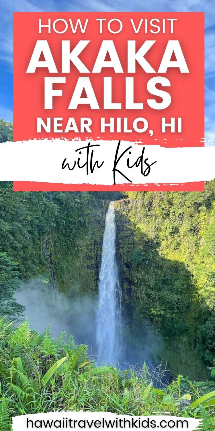 This Majestic Akaka Falls Hike Should Top Your Big Island Itinerary