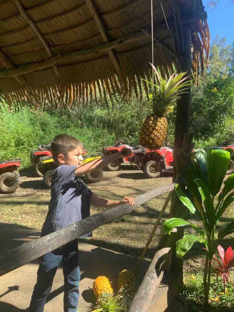 Image of a boy hitting a pineapple with a weapon like a pinata.