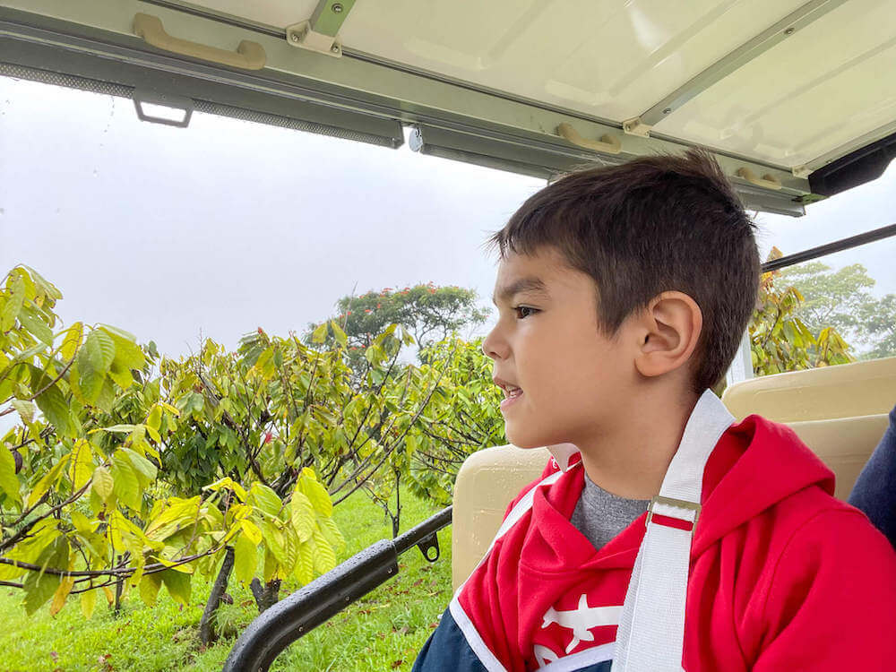 Image of a boy wearing a red sweatshirt sitting in an electric mini bus at a Hawaii chocolate farm.