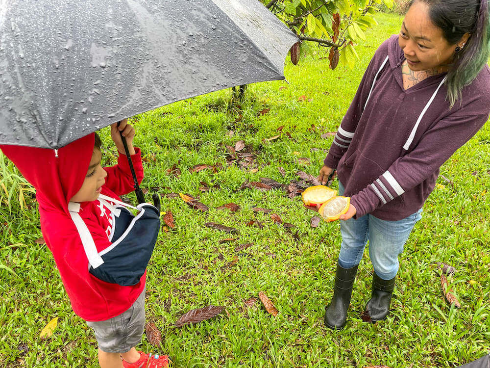 Image of a woman holding a cut open Cacao pod to show a little boy.