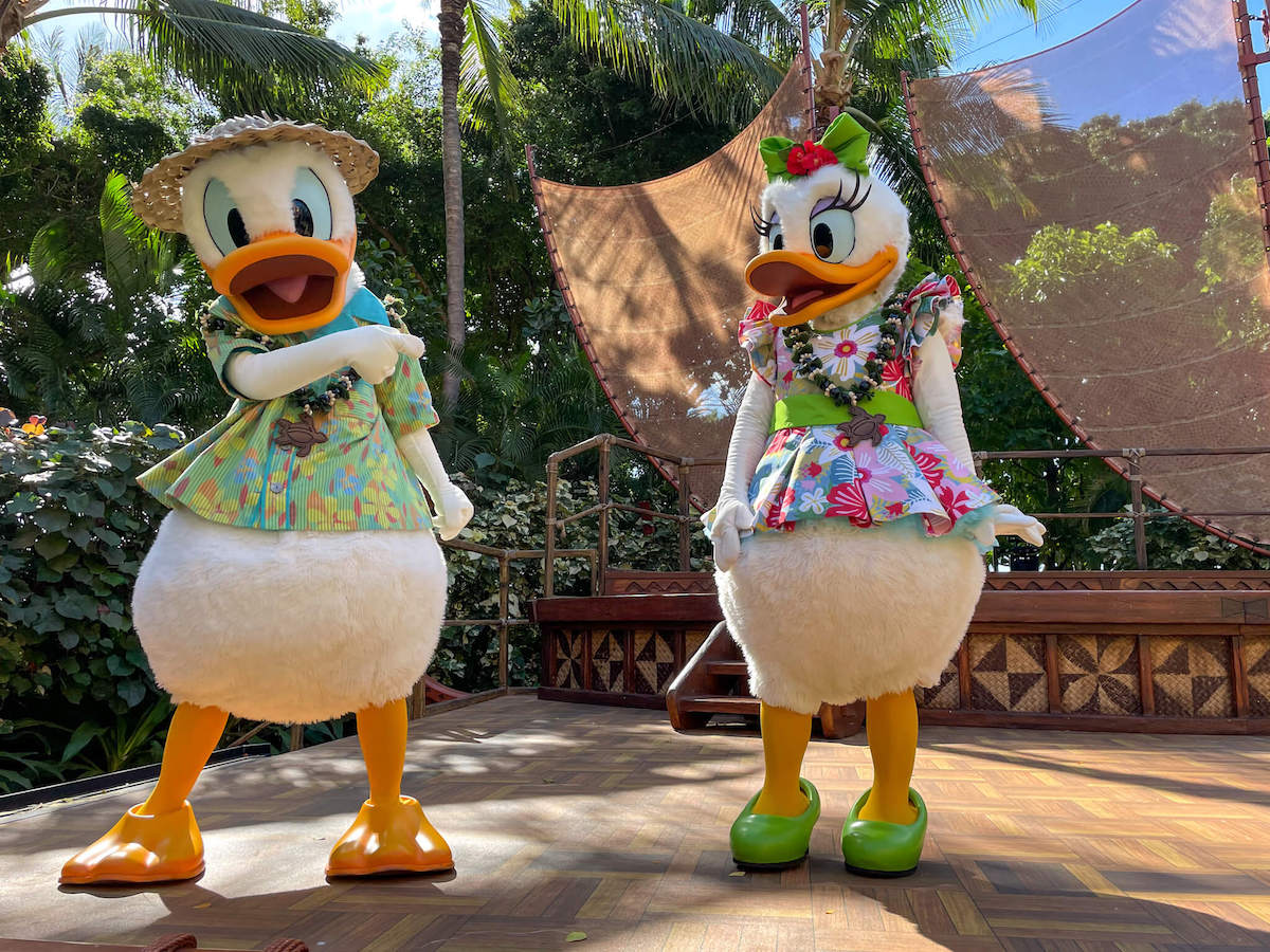 Find out how to meet characters at Disney Aulani Resort in Hawaii recommended by top Hawaii blog Hawaii Travel with Kids. Image of Daisy and Donald Duck dressed in Hawaiian clothing
