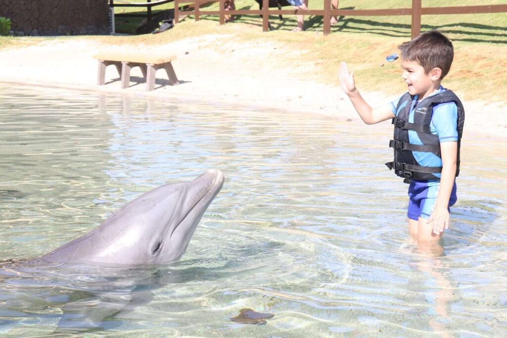 Image of a boy wearing a life jacket holding his hand up in front of a dolphin