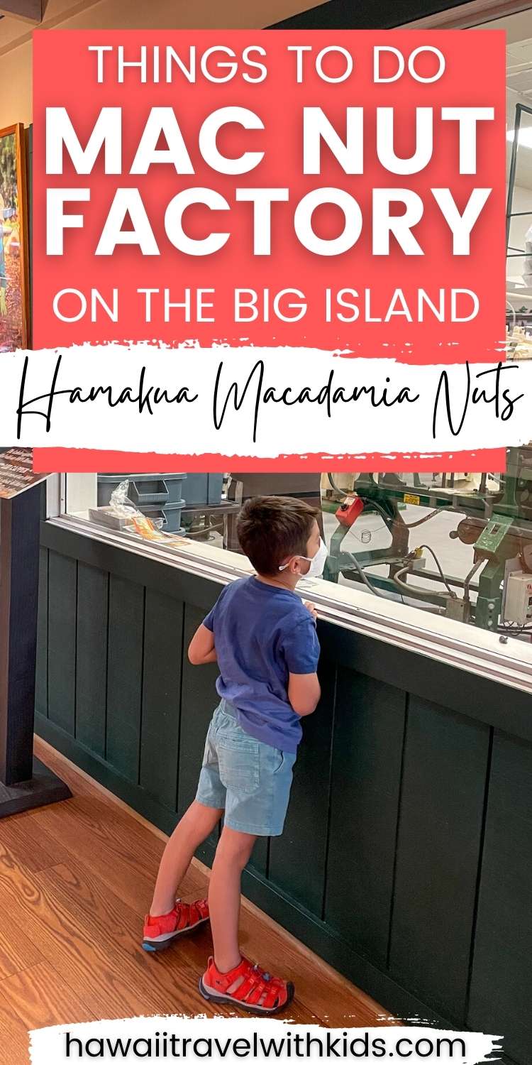 How to Tour a Big Island Macadamia Nut Factory (2023)