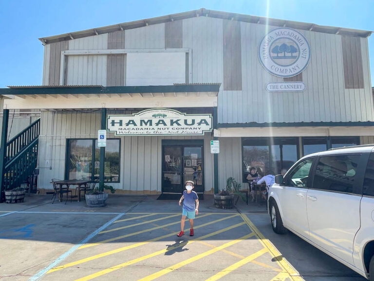 How to Tour a Big Island Macadamia Nut Factory