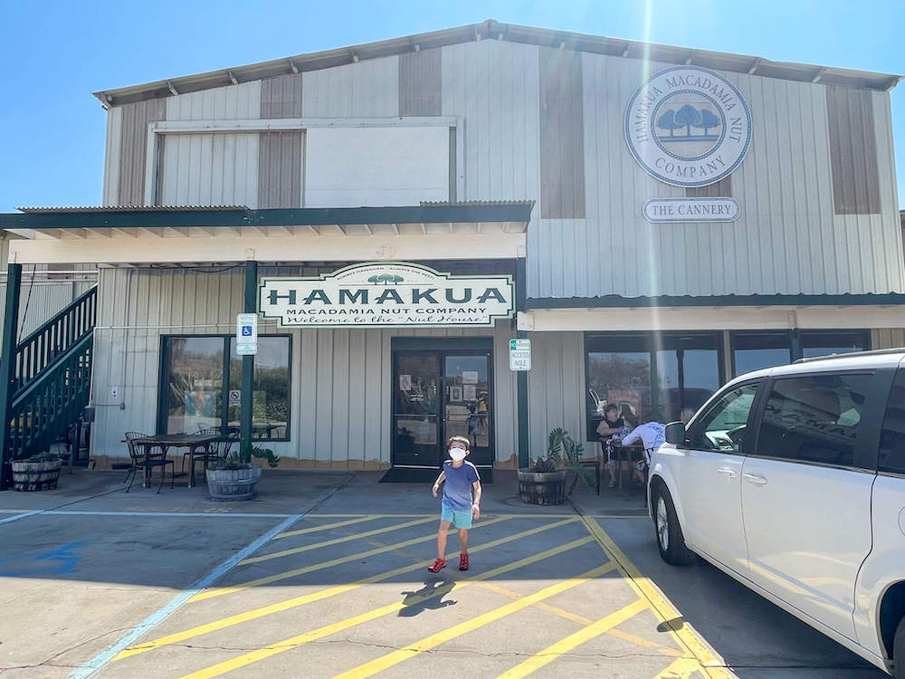 Image of a boy walking toward the camera with the Hamakua Macadamia Nut Company in the background.