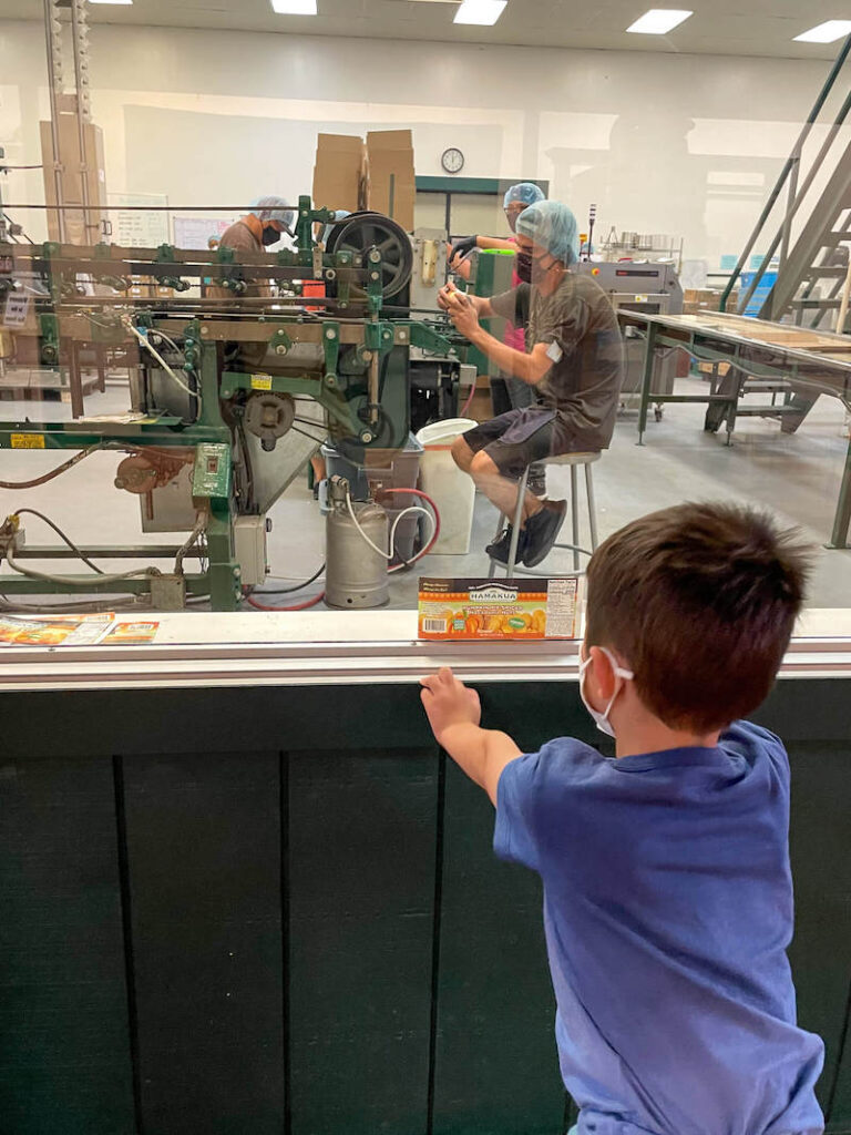 Image of a boy looking through a window at workers putting labels on macadamia nut cans.