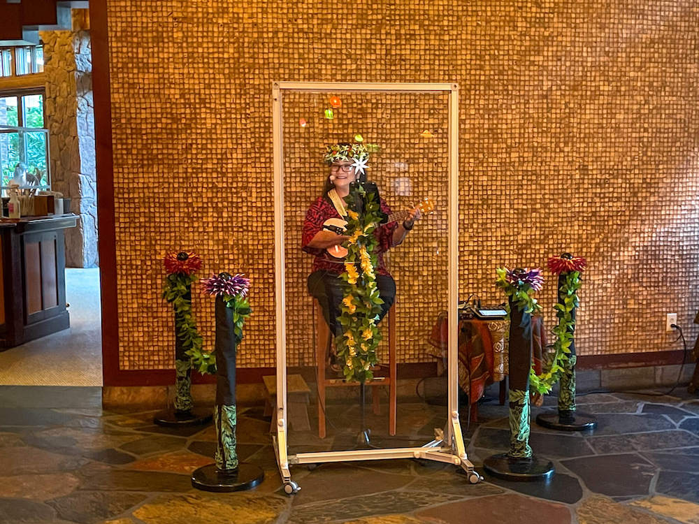 Image of a woman playing the ukulele and singing behind a plexiglass wall.