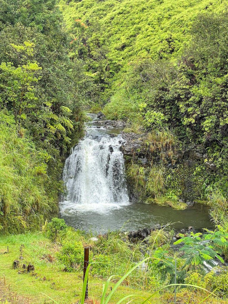 Image of a little waterfall surrounded by greenery at the Lavaloha Chocolate Farm in Hawaii Island.