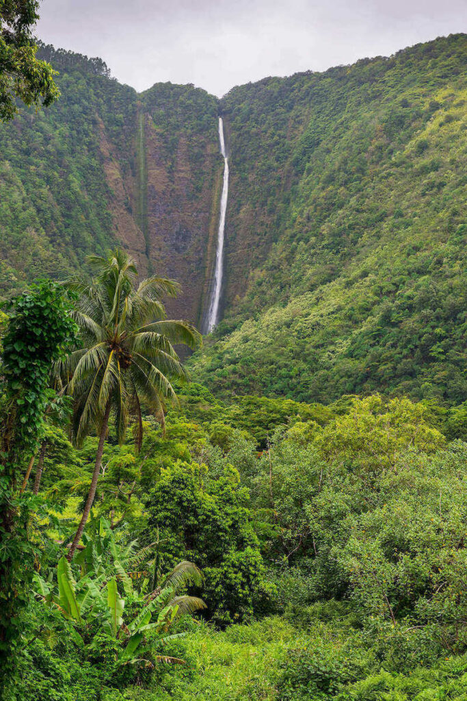 Image of a super tall and skinny waterfall on the Big Island of Hawaii