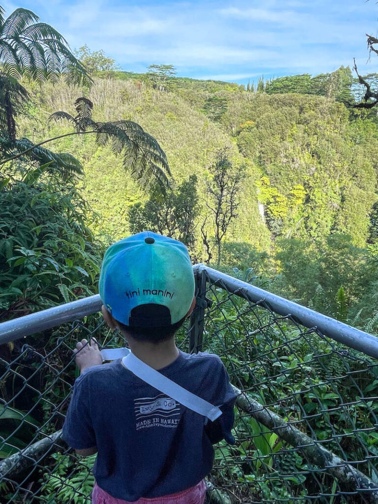 Image of a boy standing at a chain link lookout with lush green hills and a little waterfall tucked in there.