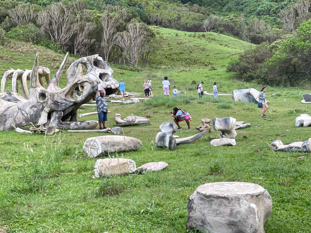 Image of tourists taking photos with replica dinosaur bones at Kualoa Ranch.