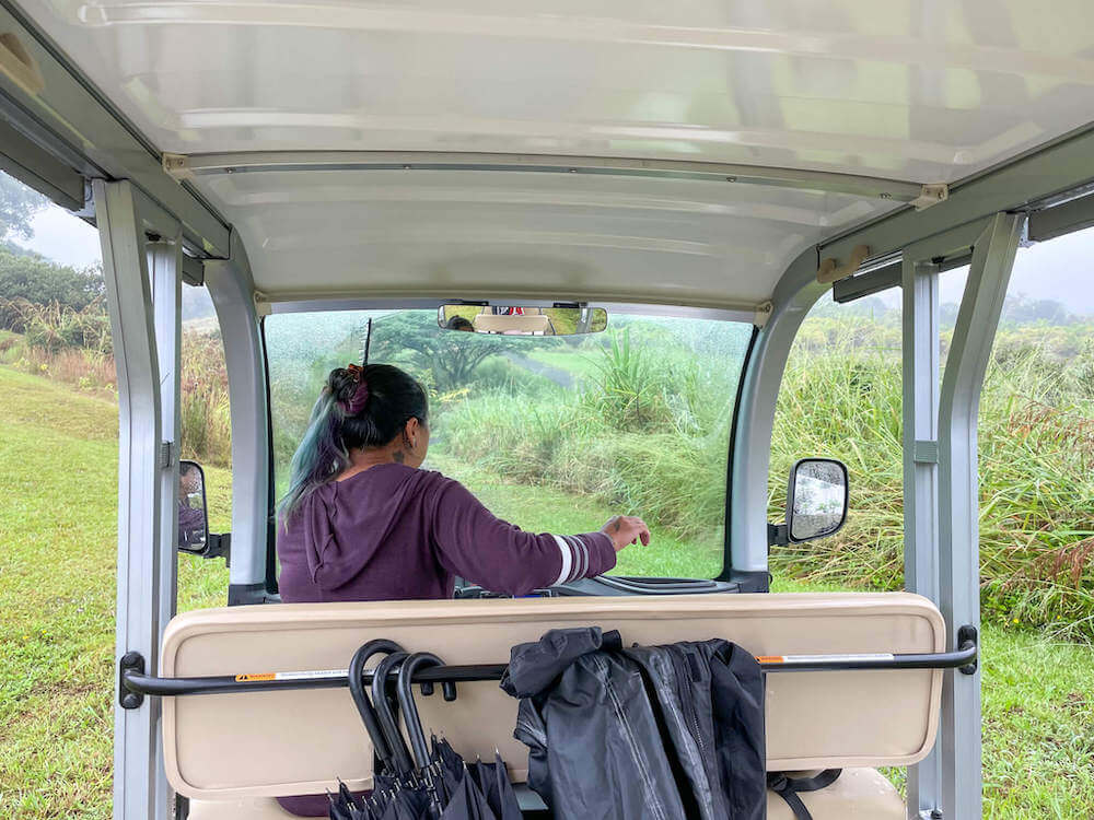 Image of a woman driving an electric mini bus through a Big Island chocolate farm.