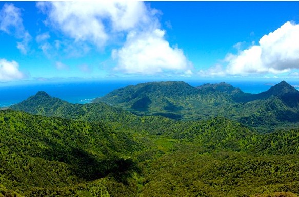 Image of lush green mountains with the ocean in the background at the Poamoho Trail on Oahu.