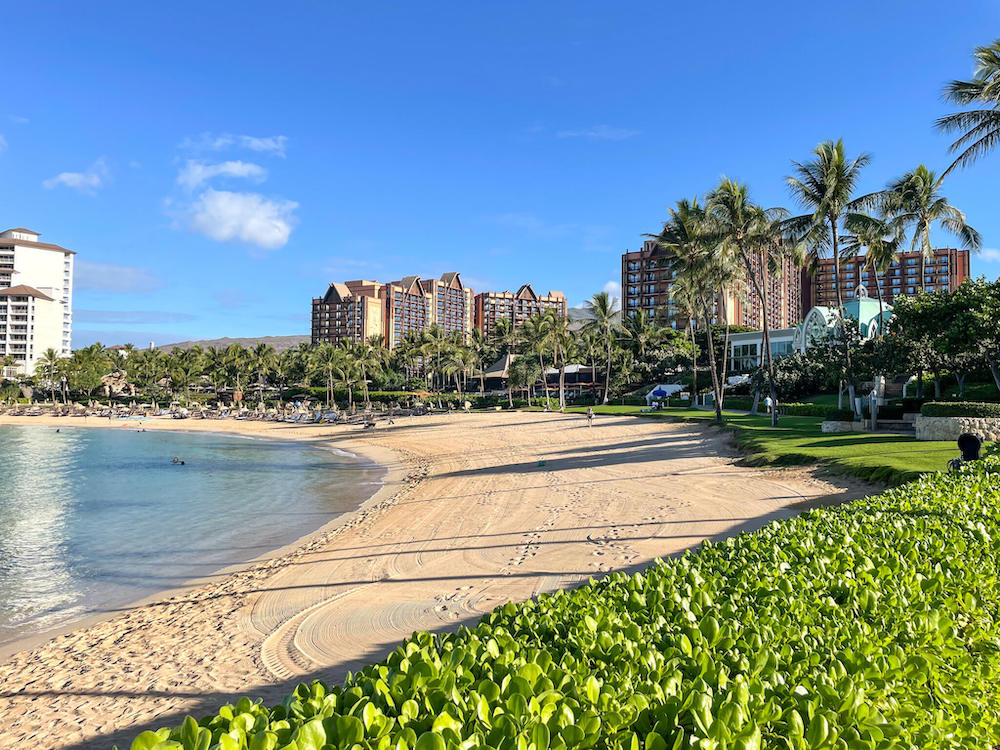 Image of a golden sandy beach and super calm water with hotels in the background.