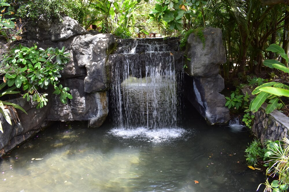 Image of a little waterfall in Hilo Hawaii.