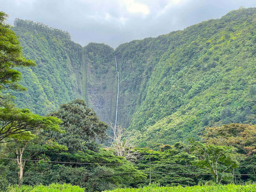 Image of a tall skinny waterfall in the middle of lush cliffs on the Big Island of Hawaii.