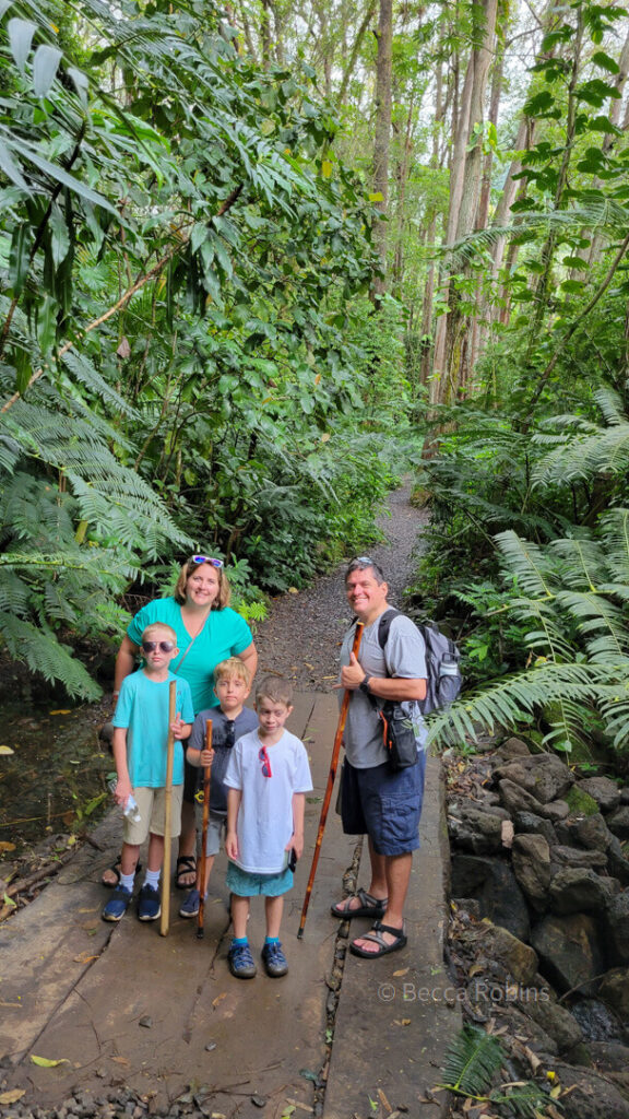 Image of a family of five posing on a wooden bridge along the hike to Manoa Falls on Oahu.