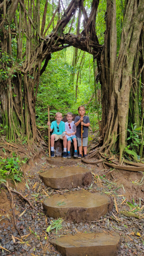 Image of three boys sitting on a stump along the Manoa Falls hiking trail on Oahu.