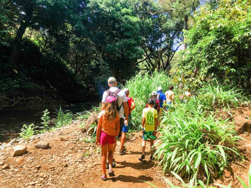 Image of a group of people hiking on Maui to get to Twin Falls along the Road to Hana.