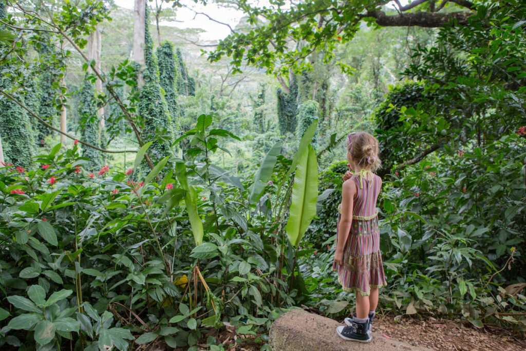 Image of a girl wearing a dress in the jungle on Oahu