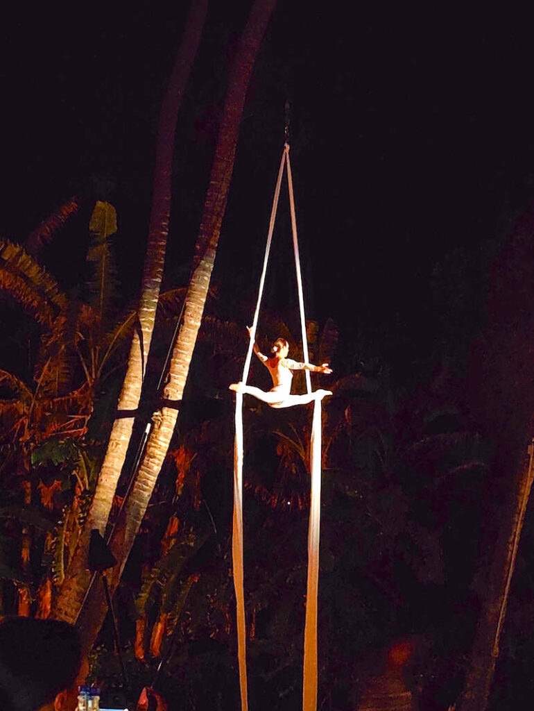 Image of an aerialist dancer hanging from palm trees at a Maui luau.