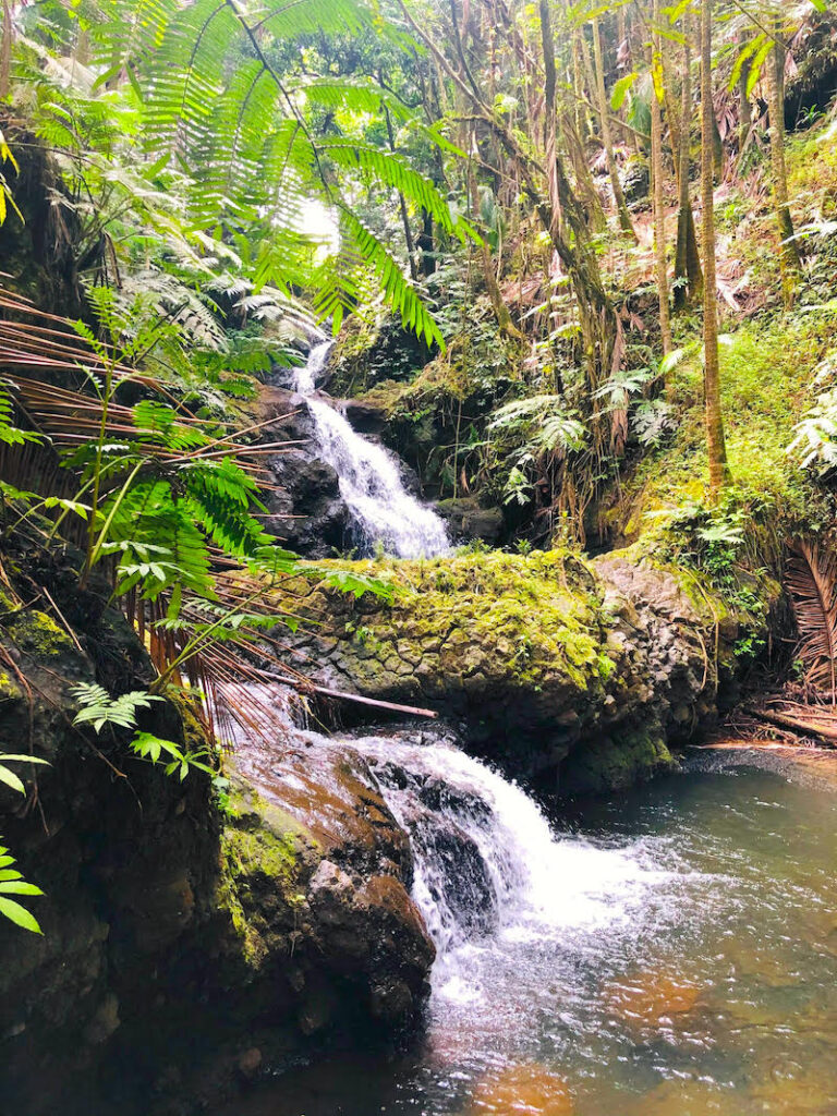 Image of a small Hilo waterfall at the Hawaii Tropical Botanical Garden on the Big Island of Hawaii.