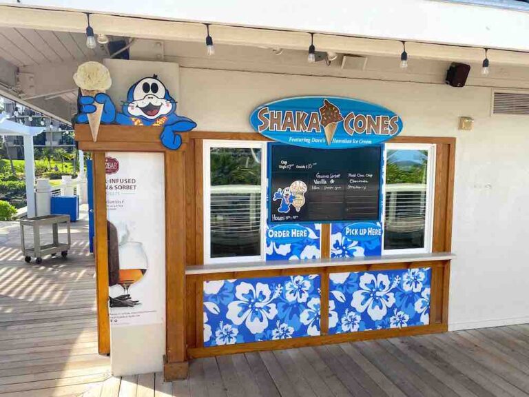 Where to Stay on the Big Island Hilton Waikoloa Village Review (2023)