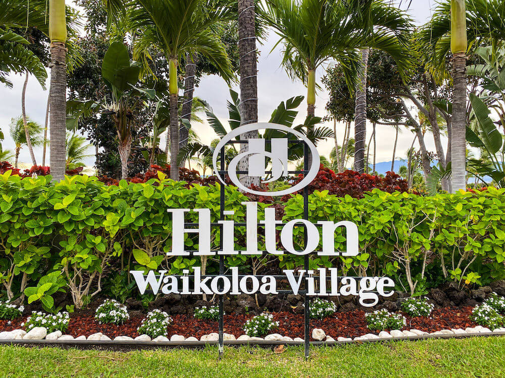 Image of the Hilton Waikoloa Village sign in front of shrubs and palm trees.