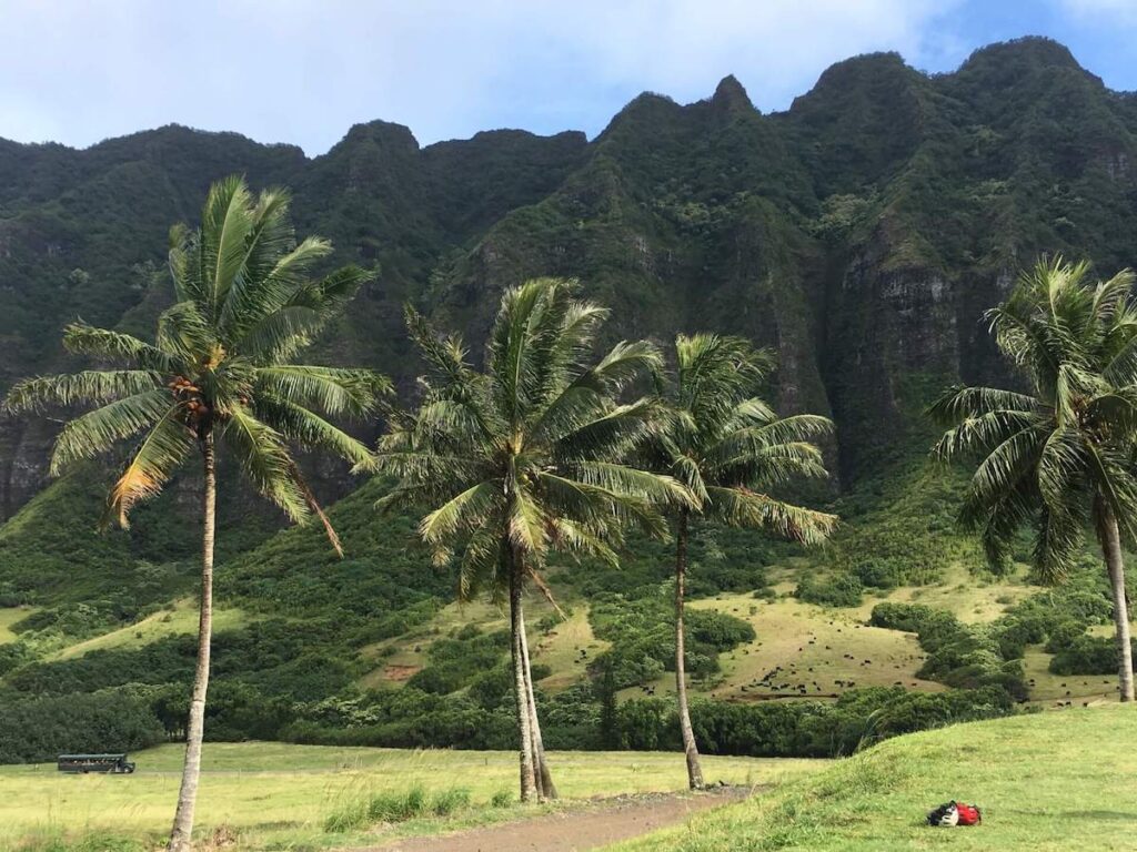 Find out the best Oahu bucket destinations for nature lovers recommended by top Hawaii blog Hawaii Travel with Kids. Image of Kualoa Mountains with palm trees.