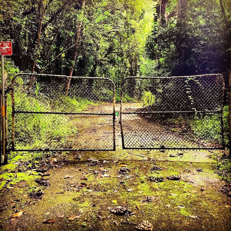 Image of a Oahu jungle trail with a chain link gate across it.