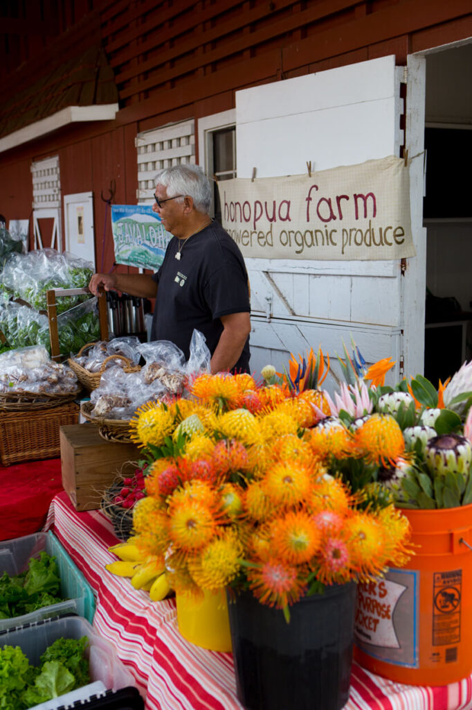 Image of flowers and fruit for sale at a Big Island farmer's market.