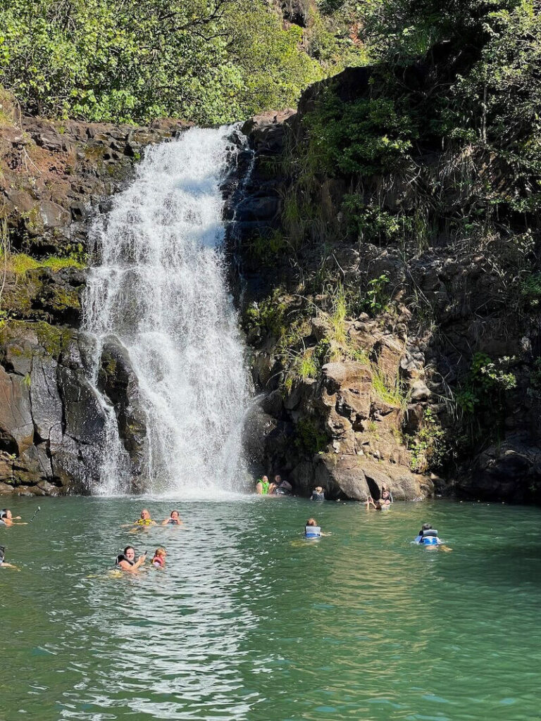 Image of people swimming in Waimea Falls on Oahu.