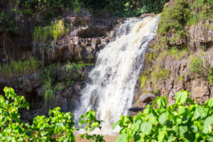Check out this full guide to visiting Waimea Falls on Oahu by top Hawaii blog Hawaii Travel with Kids. Image of a popular Oahu waterfall surrounded by greenery.