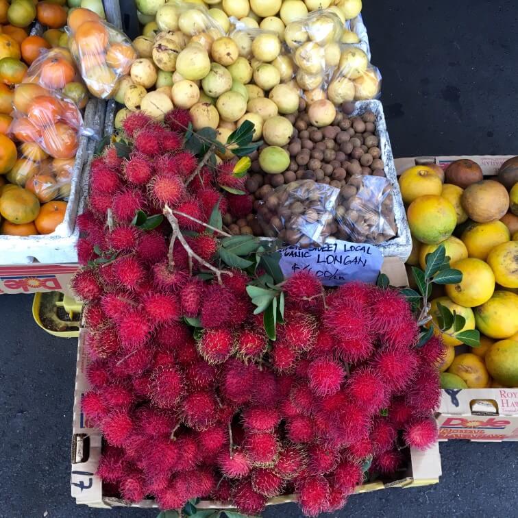 Image of longan, rambutan, and other fruits at the South Kona Fruit Stand on the Big Island of Hawaii.