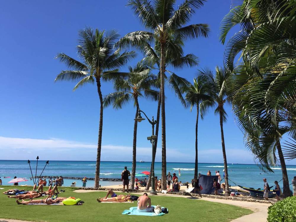 Image of a grassy area at Kuhio Beach on Oahu with palm trees in Hawaii in September.