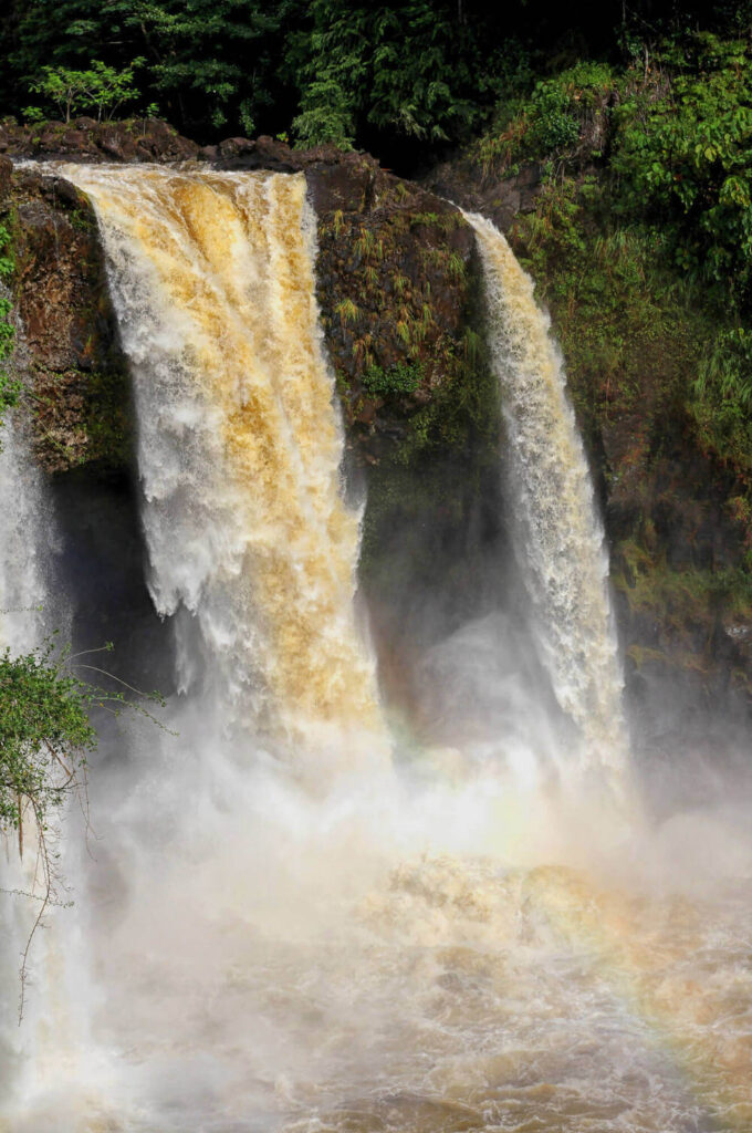 Image of a massive waterfall in Hilo Hawaii where the water is brown due to all the rain in Hawaii.